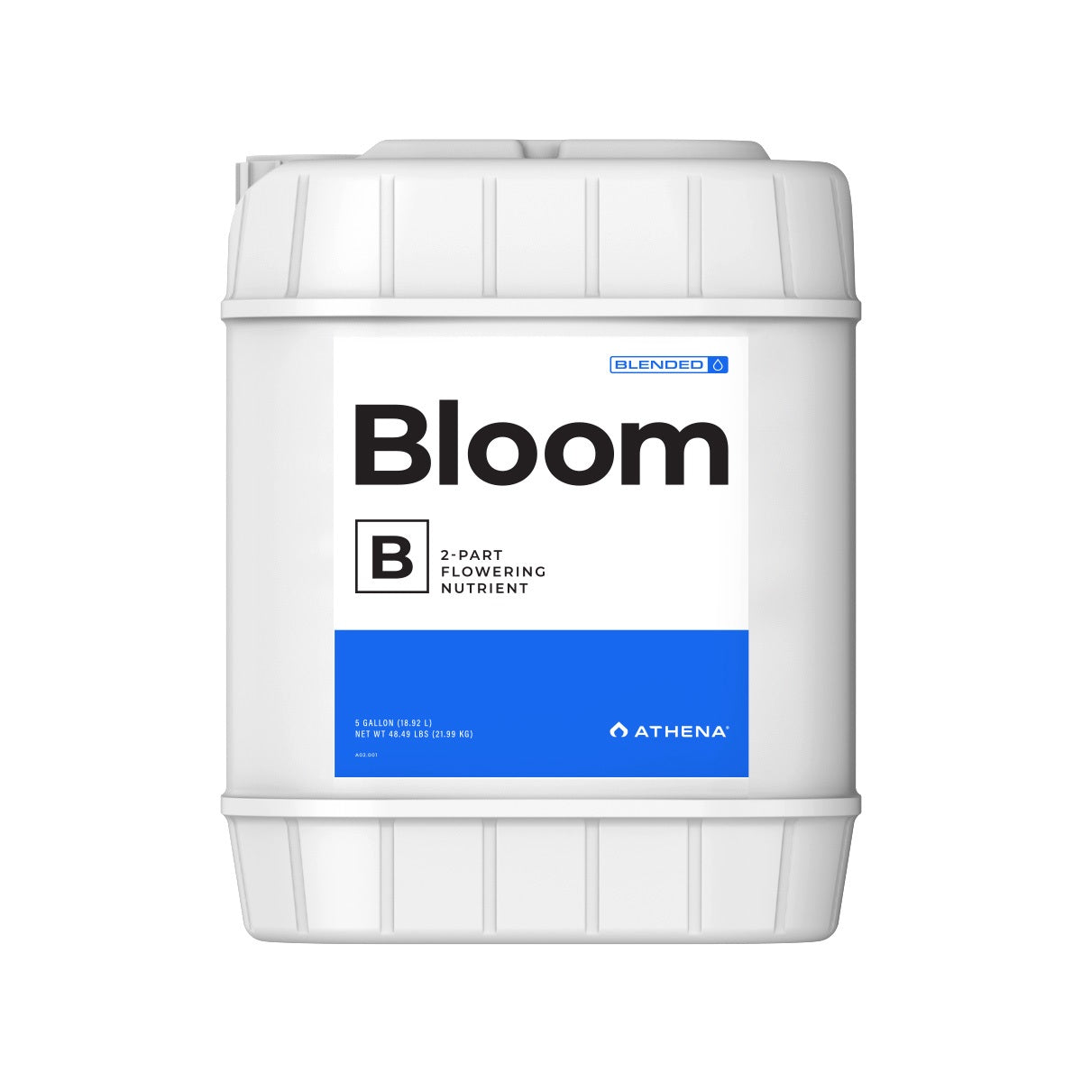 Athena Blended Line Bloom B