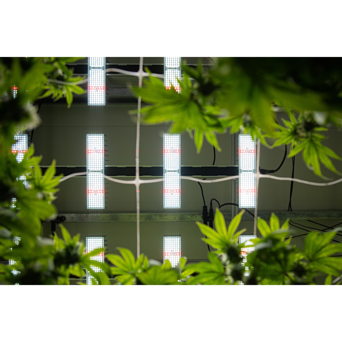 SANlight EVO 6-150 1.5 400w