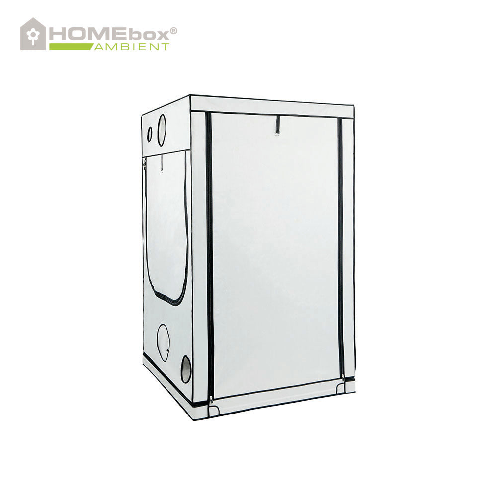Homebox Ambient Q120