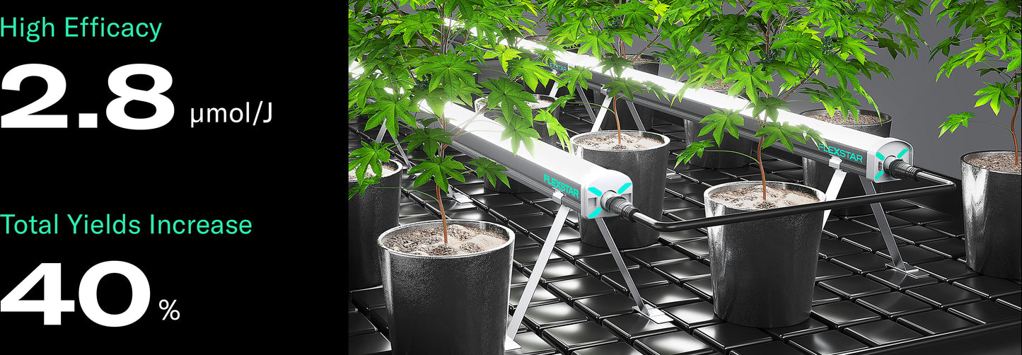 Flexstar R8 Under Canopy 120W