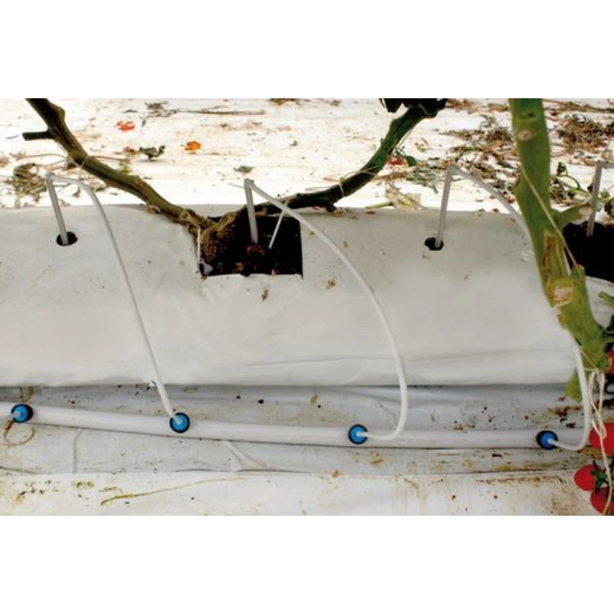 Irritec Einzeltropfer CNL 2,2 l/h iDrop + Pfeiltropfer mit 80 cm Mikroschlauch