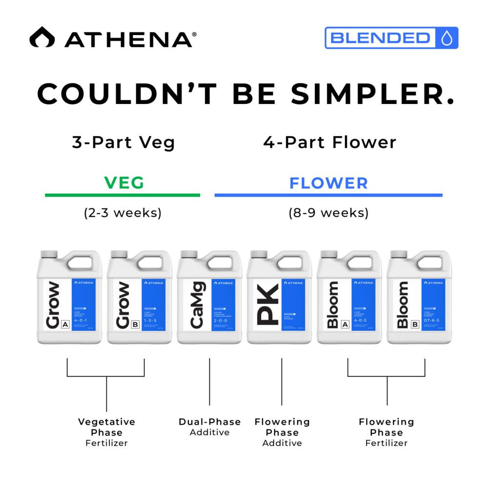Athena Blended Starter Kit